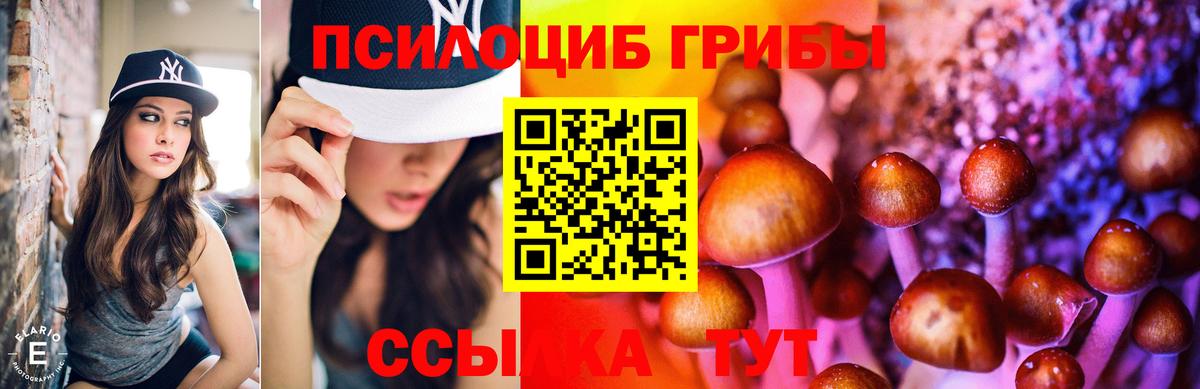 Псилоцибиновые грибы ЛСД  дарнет шоп  Вход с VPN  Нальчик  Галлюциногенные грибы Magic Shrooms 