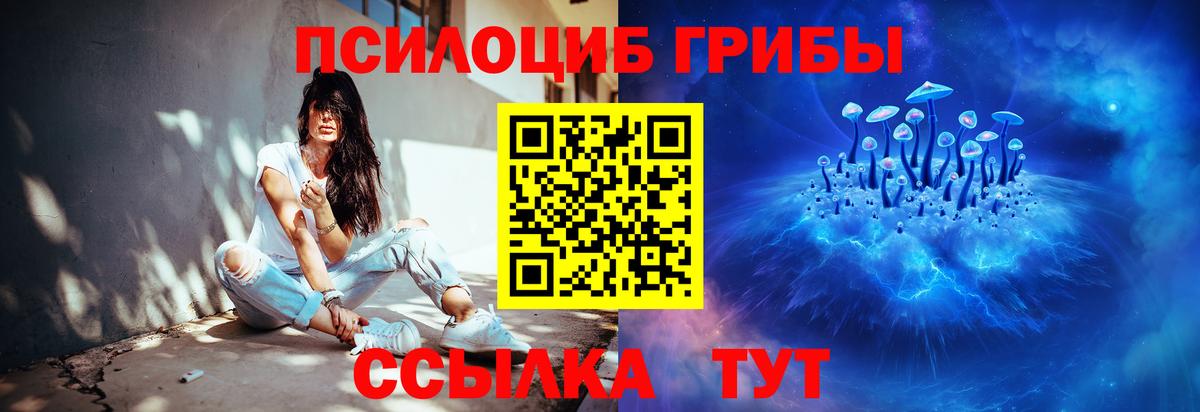 Галлюциногенные грибы GOLDEN TEACHER Нальчик